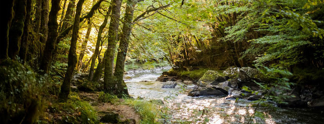 Un environnement préservé