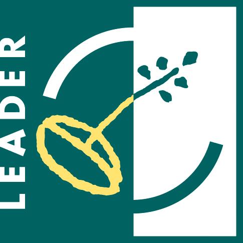 leader-HD