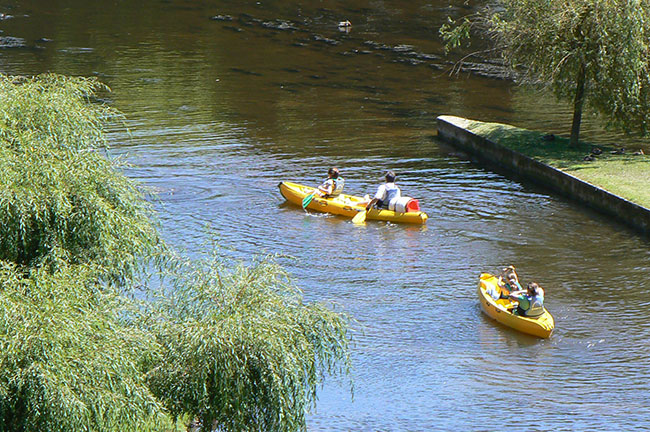 canoes